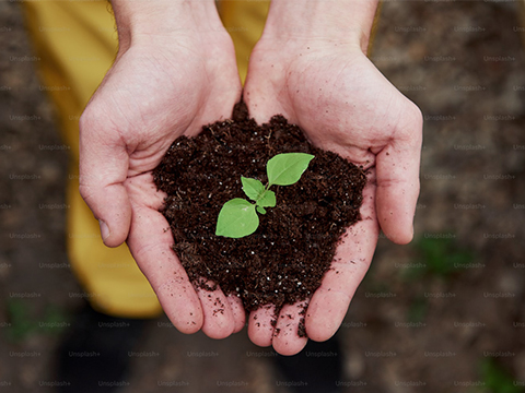 Kaiyun GPU性能测试报告