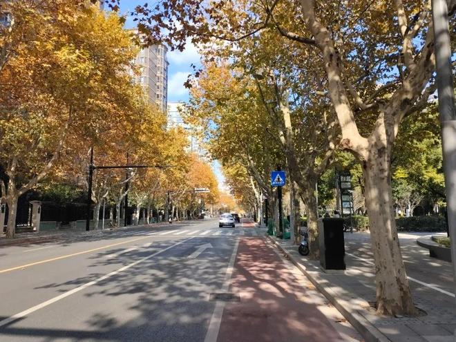 上海古北99最新动态！上海古北99优势、劣势分析重磅消息(图5)